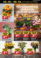 44. strana letáka Biedronka