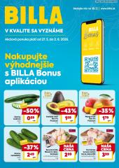 1. strana letáka Billa