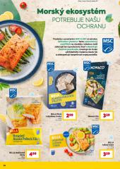 26. strana letáka Billa