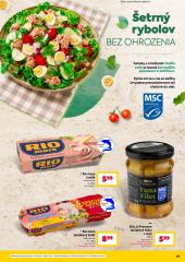 27. strana letáka Billa