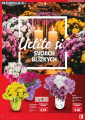 12. strana letáka Kaufland