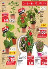 13. strana letáka Kaufland