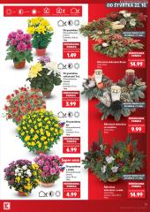 13. strana letáka Kaufland