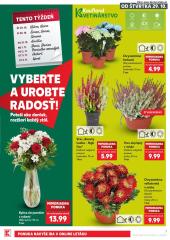 7. strana letáka Kaufland