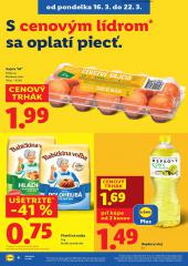 10. strana letáka Lidl