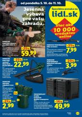 Lidl leták – 5. 10. - 11. 10. 2026, 10. strana