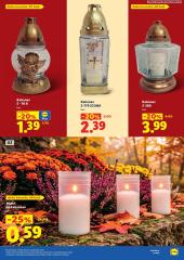 107. strana letáka Lidl