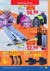 107. strana letáka Lidl