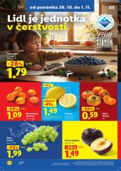 12. strana letáka Lidl