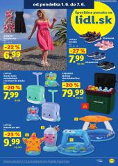 13. strana letáka Lidl