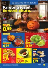 13. strana letáka Lidl