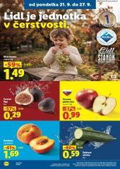 20. strana letáka Lidl