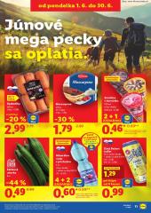 21. strana letáka Lidl