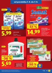 25. strana letáka Lidl