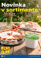 35. strana letáka Lidl