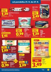 41. strana letáka Lidl