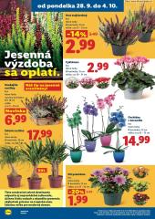 51. strana letáka Lidl