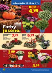 53. strana letáka Lidl