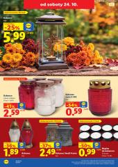 54. strana letáka Lidl