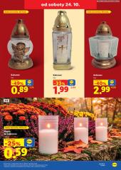55. strana letáka Lidl