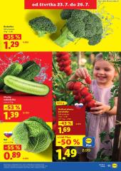73. strana letáka Lidl