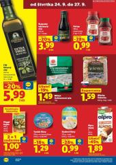 76. strana letáka Lidl