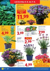 78. strana letáka Lidl