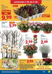 81. strana letáka Lidl