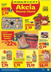 96. strana letáka Lidl