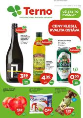 1. strana letáka TERNO
