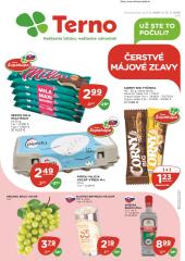1. strana letáka TERNO