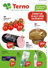 1. strana letáka TERNO