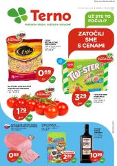 1. strana letáka TERNO