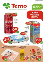 1. strana letáka TERNO