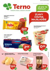 1. strana letáka TERNO