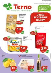 1. strana letáka TERNO