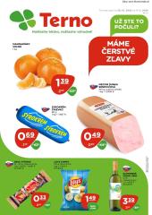 1. strana letáka TERNO