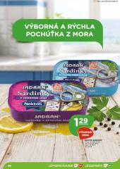 20. strana letáka TERNO