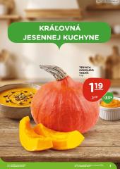 3. strana letáka TERNO