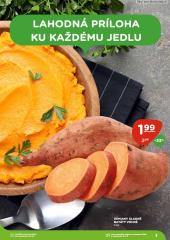 3. strana letáka TERNO