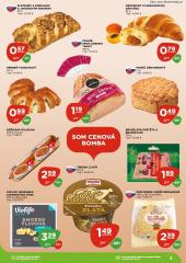 5. strana letáka TERNO