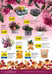 14. strana letáka Tesco