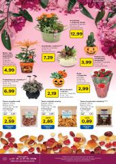 22. strana letáka Tesco