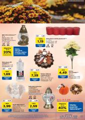 41. strana letáka Tesco